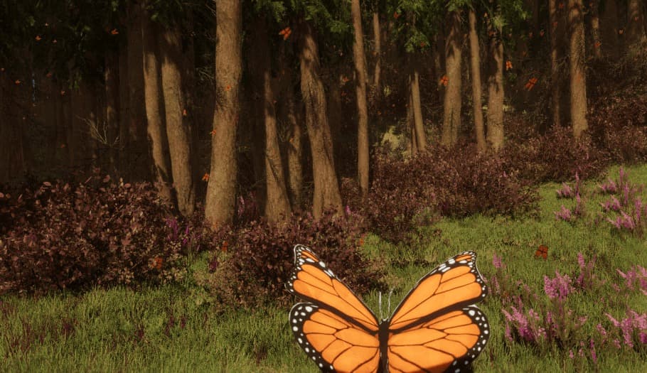 Render from the VR piece: a monarch's open wings foregrounded at eye level, a forest meadow beyond